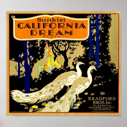Californië Dream Merk Sinaasappel Crate Fruit Labe Poster (Voorkant)