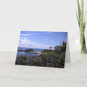 Californië Dreamin - de Wenskaarten van het Laguna Kaart