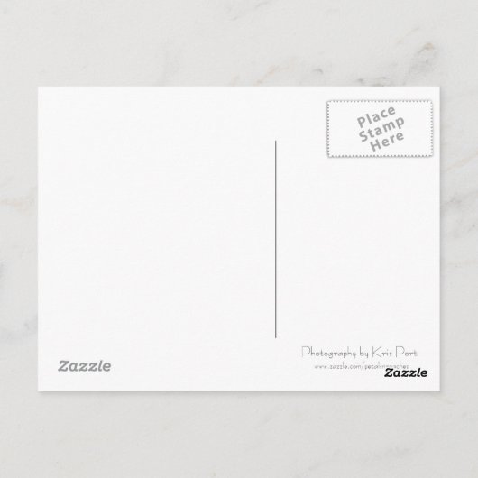 Californië Dreamweaver'Briefkaart Briefkaart (Achterkant)