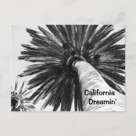 Californië Dreamweaver'Briefkaart Briefkaart (Voorkant)