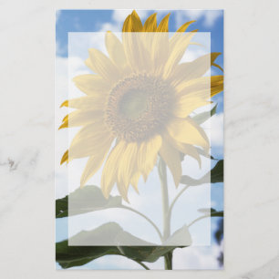 Californië, een reusachtige zonnebloem (Helianthus Briefpapier