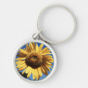 Californië, een reuzenzonnebloem (Helianthus) 3 Sleutelhanger