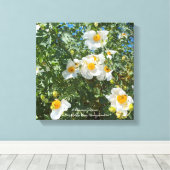 Californië Fried Eggs Canvas Afdruk (Insitu (Houten vloer))