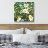 Californië Fried Eggs Canvas Afdruk (Insitu (Slaapkamer))
