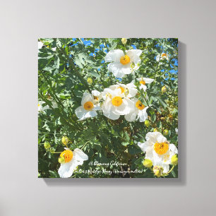 Californië Fried Eggs Canvas Afdruk