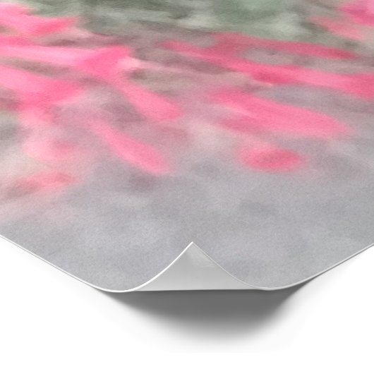 Californië - Fuchsia: Levendige Herfst Bloeit Poster (Hoek)