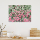 Californië - Fuchsia: Levendige Herfst Bloeit Poster (Keuken)