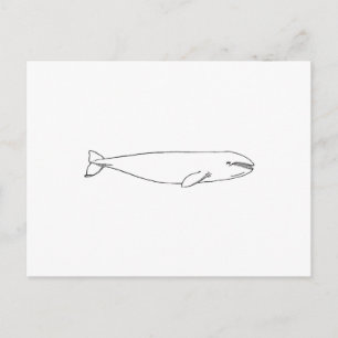 Californië Gray Whale Briefkaart