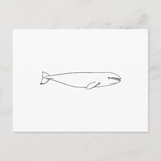 Californië Gray Whale Briefkaart (Voorkant)