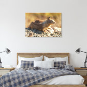 Californië Ground Squirrel Canvas Afdruk (Insitu (Slaapkamer))