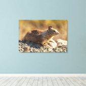 Californië Ground Squirrel Canvas Afdruk (Insitu (Houten vloer))