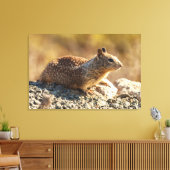 Californië Ground Squirrel Canvas Afdruk (Insitu (Woonkamer))