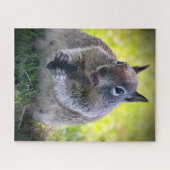 Californië Ground Squirrel Legpuzzel (Horizontaal)