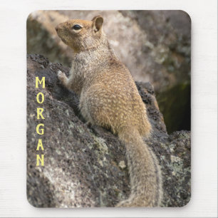 Californië Ground Squirrel Muismat
