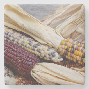Californië. Herfst Harvest Colorful Indian Corn Stenen Onderzetter