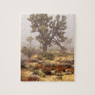 Californië: Joshua Tree National Monument, Legpuzzel