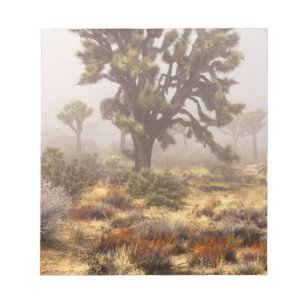 Californië: Joshua Tree National Monument, Notitieblok