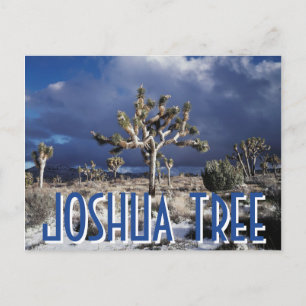 Californië, Joshua Tree National Park Briefkaart
