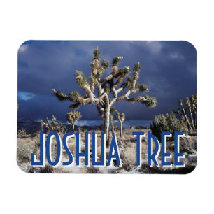 Californië, Joshua Tree National Park Magneet