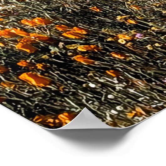 Californië klaprozen - Landschap 2 Poster (Hoek)