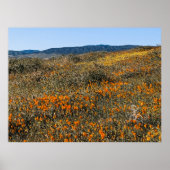 Californië klaprozen - Landschap 2 Poster (Voorkant)