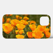 Californië klaprozen, Montana de Oro State Park Case-Mate iPhone Case (Achterkant (horizontaal))