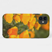 Californië klaprozen, Montana de Oro State Park Case-Mate iPhone Case (Achterkant (horizontaal))