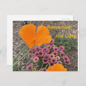 Californië Klaprozen Uitnodiging Briefkaart (Voorkant / Achterkant)
