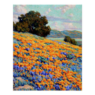 Californië-landschap met papavers en lupine perfect poster