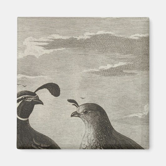 Californië Magneet (Voorkant)