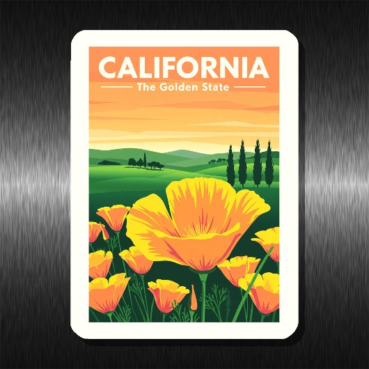  Californië Magneet