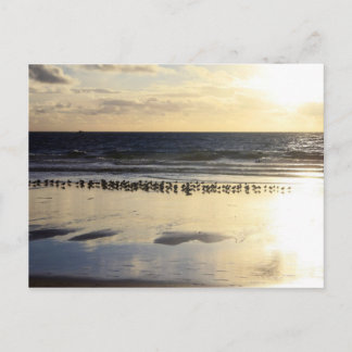 Californië - Manhattan Beach. K Briefkaart