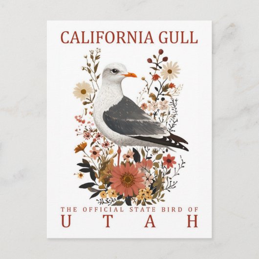 Californië meeuw vogel van Utah reizen Briefkaart (Voorkant)
