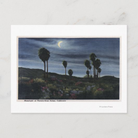 Californië-Moonlit Uitzicht op negenentwintig palm Briefkaart (Voorkant)