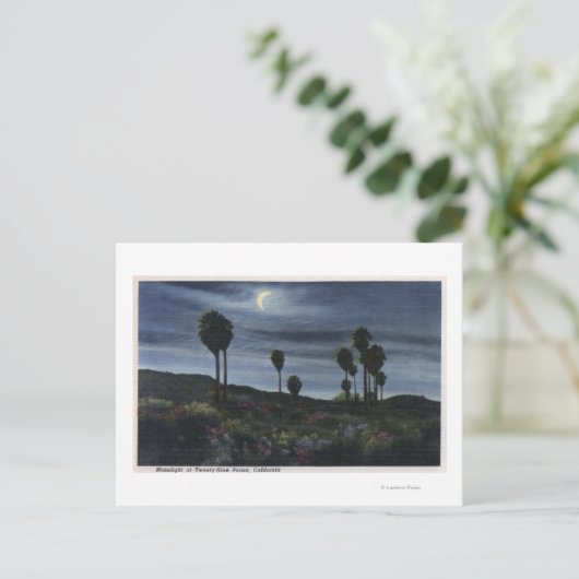 Californië-Moonlit Uitzicht op negenentwintig palm Briefkaart (Staand voorkant)