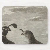 Californië Muismat (Voorkant)