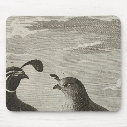 Californië Muismat (Voorkant)