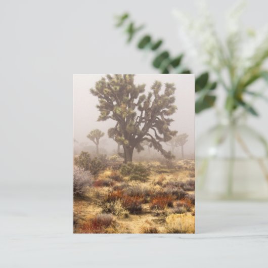 Californië: Nationaal Monument Joshua Tree Briefkaart (Staand voorkant)