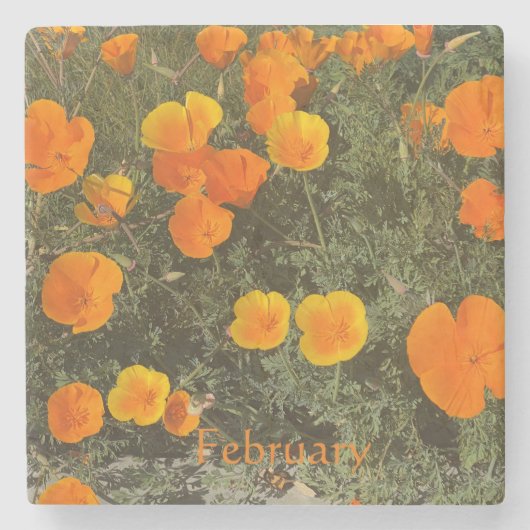 CALIFORNIË ONDERZETTER: FEBRUARI STONE ONDERZETTER (Voorkant)