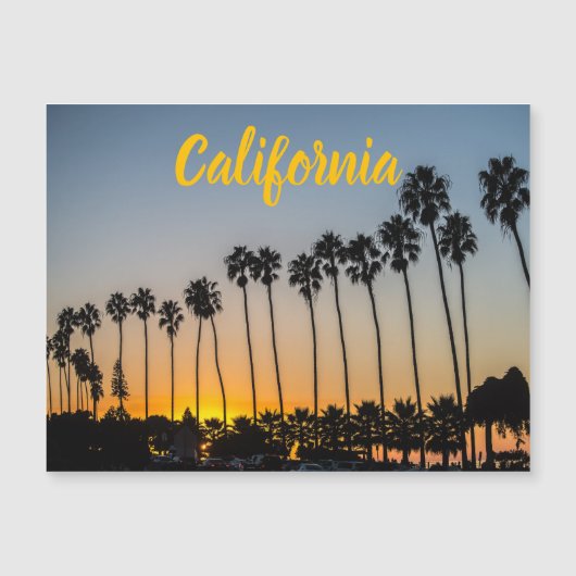 Californië | Palmbomen en zonsondergang bij het st (Voorkant)