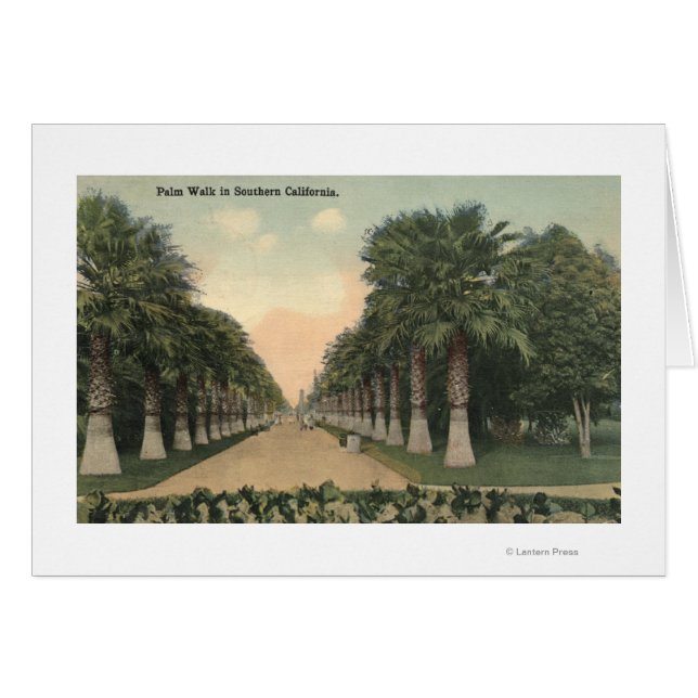 Californië-Palms langs weg (Voorkant Horizontaal)