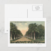 Californië-Palms langs weg Briefkaart (Voorkant / Achterkant)