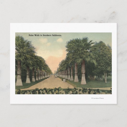 Californië-Palms langs weg Briefkaart (Voorkant)