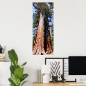 Californië Panorama 1 Poster (Thuiskantoor)