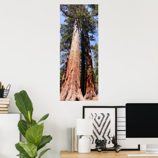 Californië Panorama 1 Poster (Thuiskantoor)