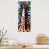 Californië Panorama 1 Poster (Keuken)