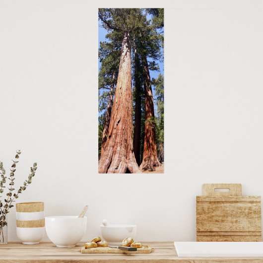 Californië Panorama 1 Poster (Keuken)