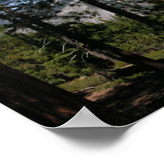 Californië Panorama 5 Poster (Hoek)