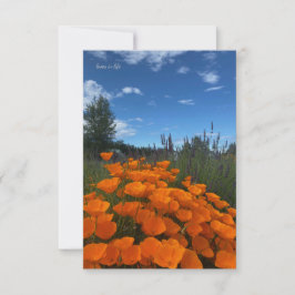 Californië Poppies & Lavendel Notitiekaartje