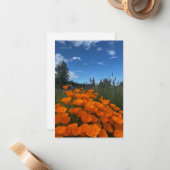 Californië Poppies & Lavendel Notitiekaartje (Voorkant / Achterkant in situ)